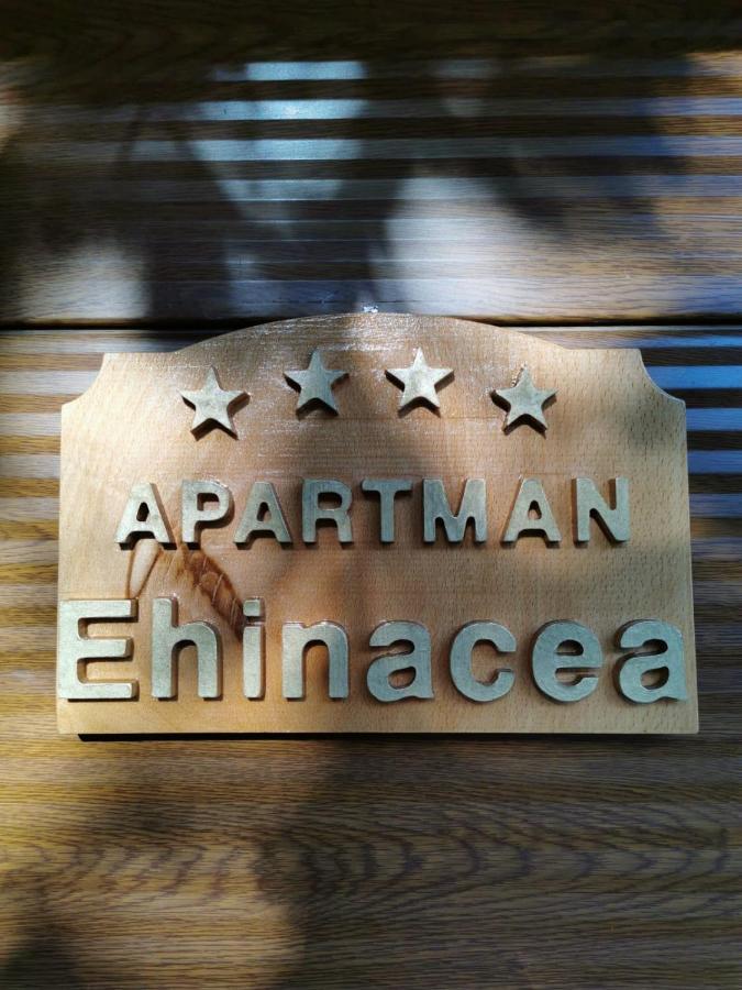 Appartamento Ehinacea Rtanj Esterno foto