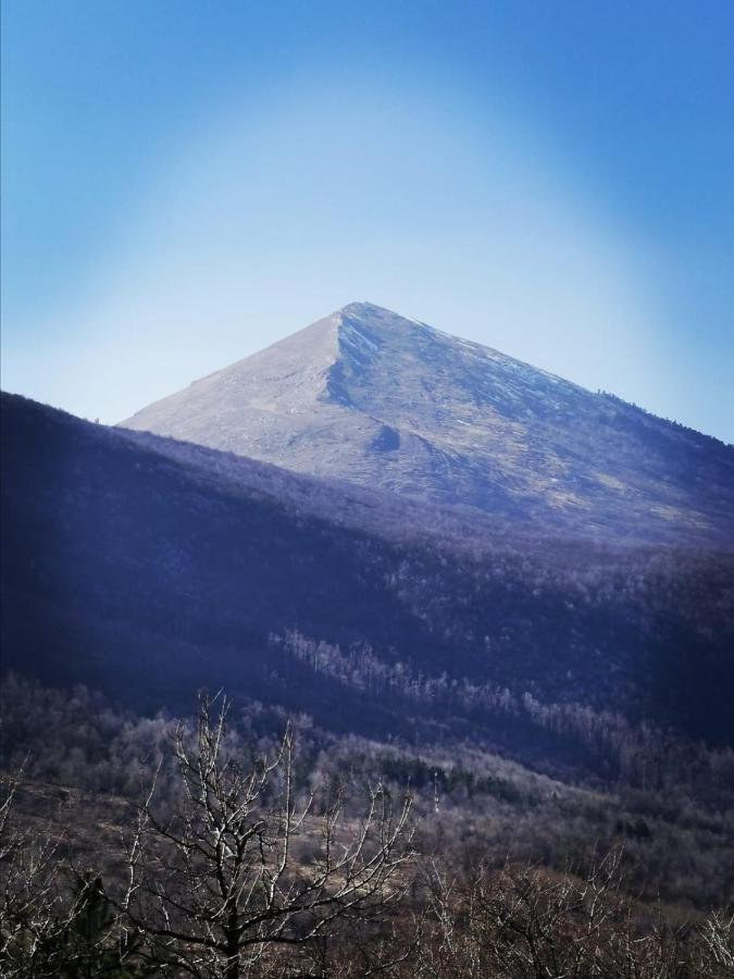 Appartamento Ehinacea Rtanj Esterno foto